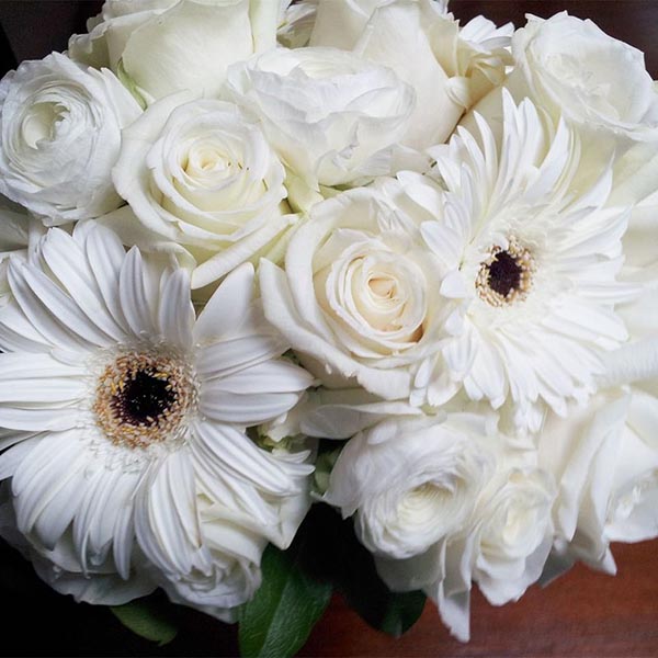 Send Astonishing Bouquet of White Roses N Gerbera for Valentines Day Online
