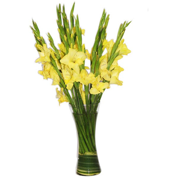 Send Beautiful Yellow Glads in Glass Vase Online