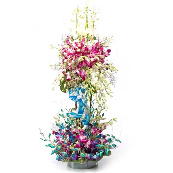 Send Eye-Catching Orchids with Tuberose Arrangement Online
