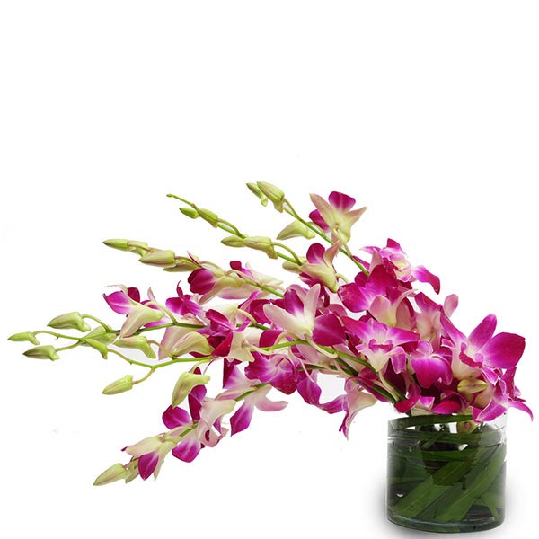 Send Unique Glass Vase of Purple Orchids Online
